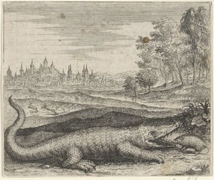 Fable of the Crocodile and Mongoose