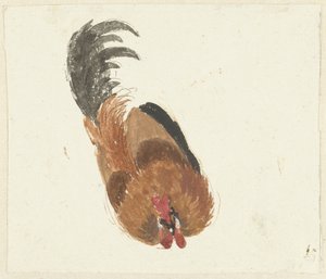 Study of a dead rooster