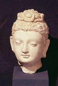 Head of a Buddha, Greco-Buddhist style, from Hadda