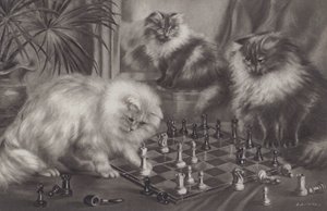 Group of cats playing with chess pieces