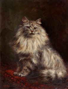 Persian Cat, c.1908-20 by Agnes Augusta Talboys