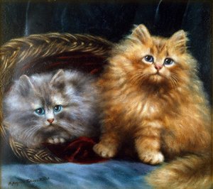 Unknown Image