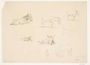 Study Sheet with Animals by Agnes Lunn