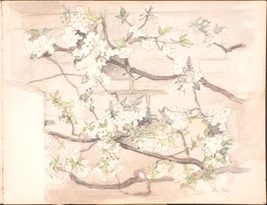 Sketchbook. July 1899 - June 1901 by Agnes Slott Møller