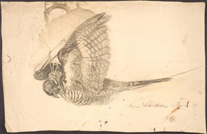 Study of a Dead Bird by Agnes Slott Møller