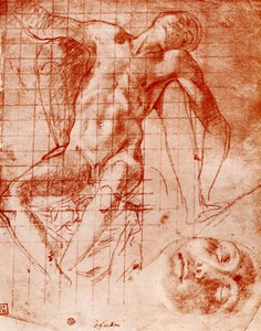 Studies by Agnolo Bronzino