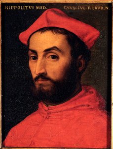 Portrait of Cardinal Ippolito de Medici (1511-1535) by Agnolo Bronzino