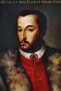 Portrait of Francesco I de Medici