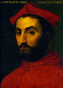 Portrait of Ippolito de Medici by Agnolo Bronzino