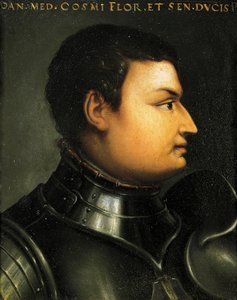 Portrait of Lodovico de Medici also known as Giovanni dalle Bande Nere by Agnolo Bronzino