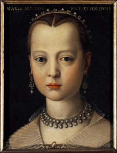 Portrait of Mary of Medici by Agnolo Bronzino