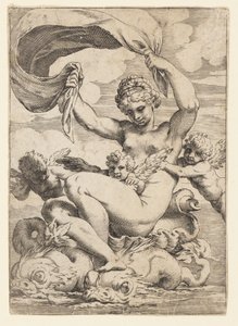 Venus (or Galatea) and Cupids Supported by Dolphins by Agostino Carracci