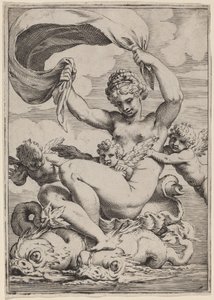 Venus or Galatea Supported by Dolphins by Agostino Carracci