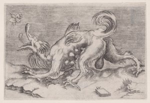The Dragon and the Bee