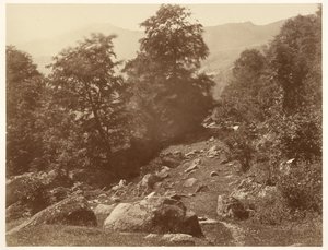 The Valley of Lys (Gust of Wind) by Aimé Civiale