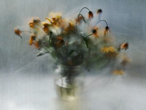 Dreamy Fading Flowers by Ala Pneuma