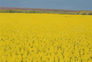 Rape Field, 2003 by Alan Byrne