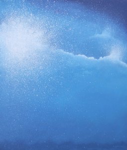 Sea Picture III