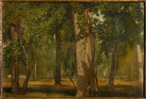 The Wood
