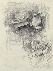 Still Life of Roses in a Vase