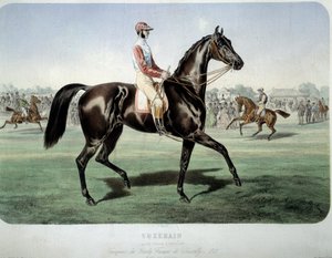 Suzerain, Winner of the Chantilly Derby in 1868 by Albert Adam