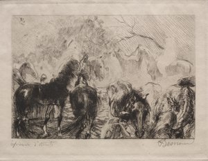 Horse Market in Algiers