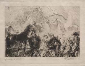 Horse Market in Algiers, 1898