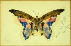 Butterfly by Albert Bierstadt