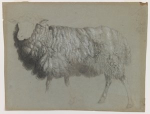 Study of an Ewe, c.1855 by Albert Bierstadt