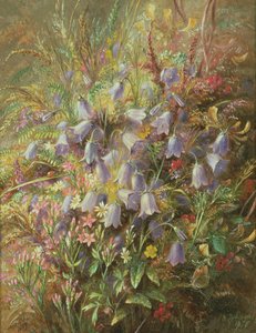 Harebells and Other Woodland Flowers and Grasses by Albert Durer Lucas