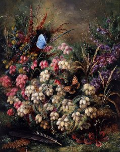 Butterfly in the Heather