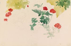 Geraniums by Albert Edelfelt