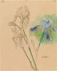 Irises by Albert Edelfelt