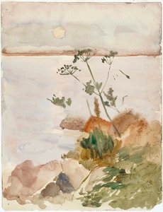 Seashore in the Moonlight by Albert Edelfelt