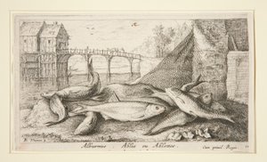 Alburnus. Ables or Ablettes by Albert Flamen