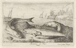 Three Spotted John Dories on the Beach by Albert Flamen