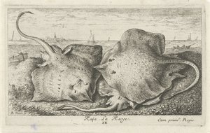 Three Rays on the Beach by Albert Flamen
