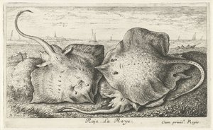 Three Rays on the Beach by Albert Flamen