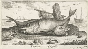 Three Haddocks on the Beach by Albert Flamen