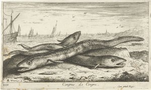 Three Eels on the Beach by Albert Flamen