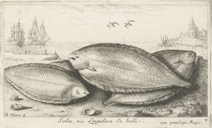 Three Soles on the Beach by Albert Flamen