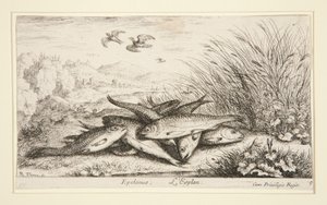 Epelanus, L by Albert Flamen