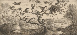 The Bullfinch: Book of Birds, 1655-1660 by Albert Flamen