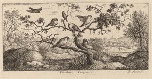 Ficedula, The Bullfinch by Albert Flamen