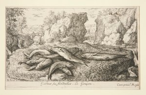 Gabius or Fundulus. The Gudgeon by Albert Flamen