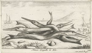 Pike on the Beach by Albert Flamen