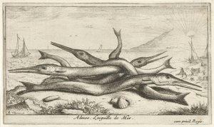 Pike on the Beach (Admos. The Sea Needle) (Fish and Other Sea Creatures - Saltwater Third Series) (Sea Fish) by Albert Flamen