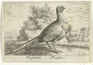 Landscape with Pheasant (title on object) (series title)