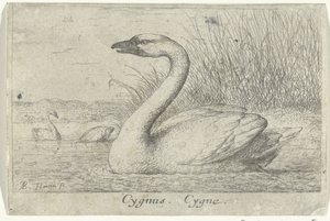 Landscape with Swan (title on object) (series title) by Albert Flamen