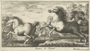 Horses (Various Animal Species) by Albert Flamen